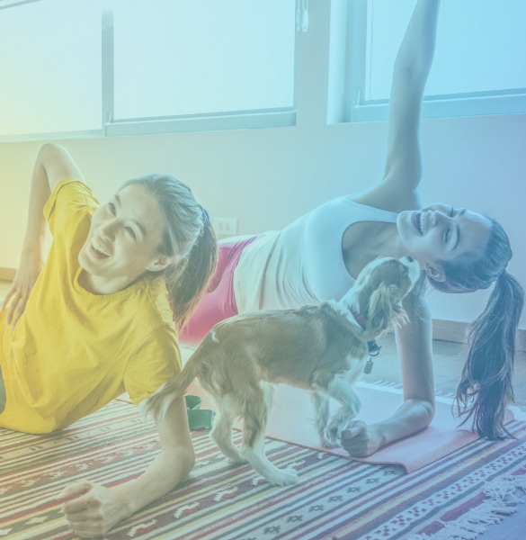 Two Friends Exercising in Their Somerville Apartment With The Help of Their Little Dog.